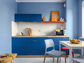 Студия с балконом Карельский Лось