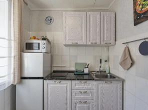 Квартира в центре на Нерчинской 3