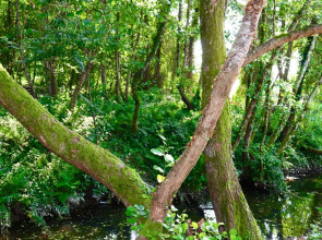 Курортный отель Aqua resort Dacha