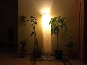 Гостевой дом Евро