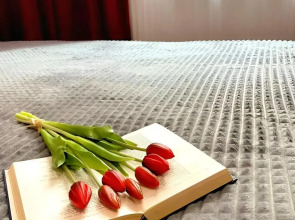 Квартира Студия