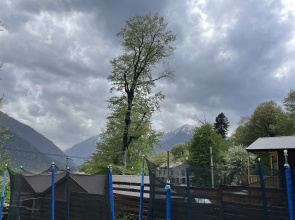 Шале Барбарис