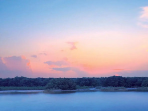 Anantara Eastern Mangroves Abu Dhabi