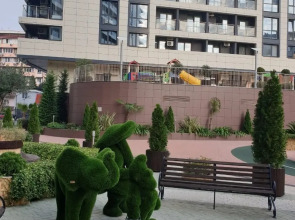 Апартаменты Сочипосуточно