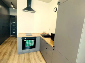 Апартаменты на Мечникова 3