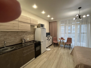 Квартира 1-комнатная студия в новом высотном доме. Кирова 11