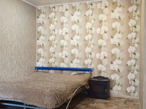 V Gostyakh U Lilii Apartments