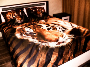 Na Ladozhskoy Apartments