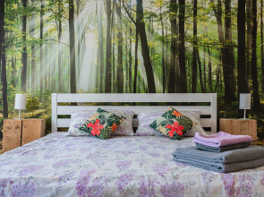 Апартаменты на пешеходной улице с 2-мя спальнями