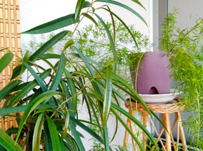 Квартира Видовая Лофт Студия ЖК Манхэттен