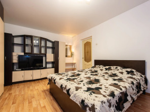 Апартаменты Яр-сутки на Московском 159