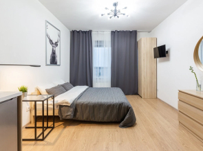 Видовые апартаменты RoomyRoom City lights