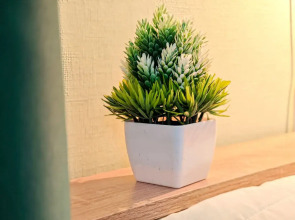 Квартира 2к квартира на Семьи Шамшиных 18