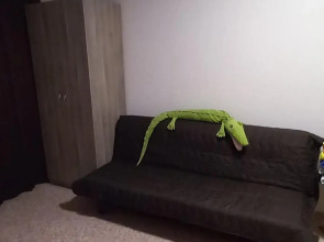 Апартаменты Троицкие