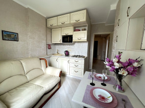 Апартаменты однокомнатная квартира на Фермора район "Сельма"