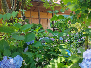 Guest house Gabriel