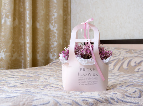 Apartamenty s krasivym vidom na gory