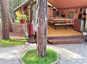 Кемпинг Под Соснами