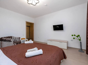 Уютная однокомнатная квартира на Ленина 81