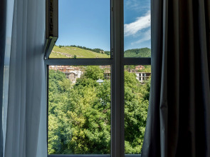 Апартаменты Гортензия Ирины Савельевой в парке с видом на горы