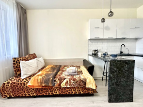 Апартаменты Истоман Большая студия 35 м2