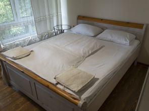 Гостевой Дом Золотой  Гусь