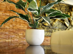 Отель Jaranya Hotel