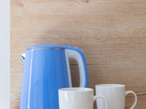 Апартаменты Ментор (3)