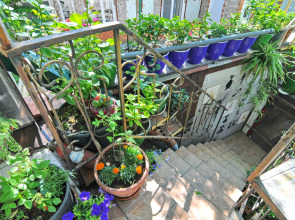 Гостевой дом Роман и Светлана