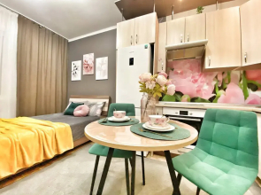 Studiya na Aleksandra Usoltseva 15 Flat