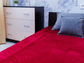 Komfort V Tsentre Goroda Flat