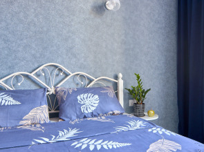 Апартаменты Пушкина 5/43