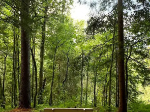 Апартаменты Валдай Пространство мечты