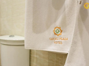 Отель Ganjali Plaza