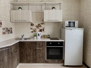 Апартаменты рядом с Ареной Металлург