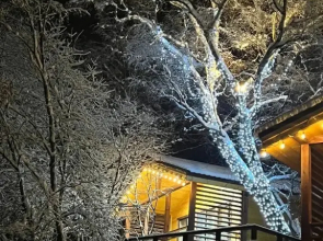 Veselye Gusi 1 Private house