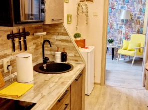 Квартира в центре на Пискунова