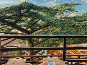 Гостевой дом Mister Tooker