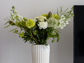 Квартира Пространство Зелёный Двуугольник