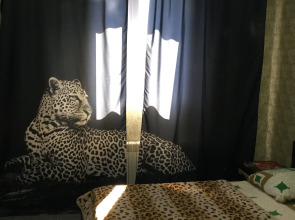 Отель Диамонд