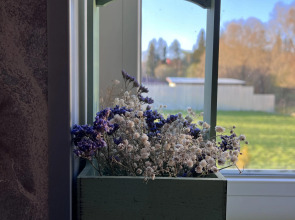 Гостевой дом Ilta Karjalan Talo Карельский домик