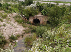 Квартира Студия с видом на город