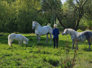 Гостевой Дом 65HOME