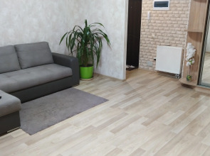 Апартаменты Ольга