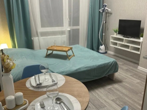Studiya V Novom Dome Flat