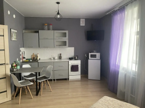 Studiya v tsentre goroda Flat