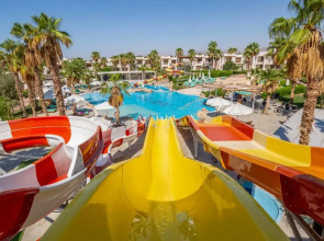 Amphoras Aqua Adults Friendly