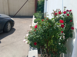 Hotel Star Zvartnoc Evn Airport