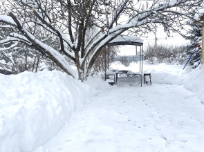 Частный Дом Гостевой Дом Pine Housе