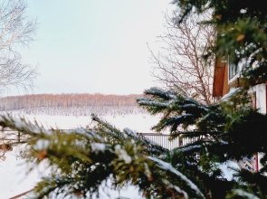 Zagorodny Na Ozere Private house